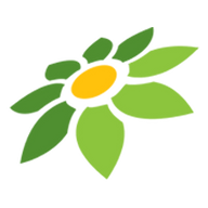 AFILIASI TOKOPEDIA